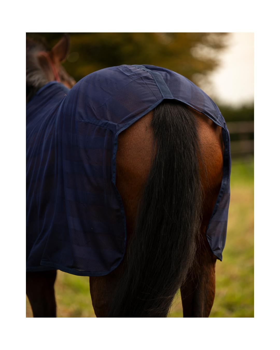 4Horses Fliegendecke Bari, leichte Pferdedecke mit Insektenschutz, Brustverschluss, Schweifriemen und angenehmem
