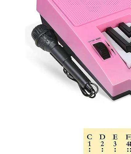 海音セット Amazon.com: Hricane Keyboard Piano Lighted Keys for Beginner