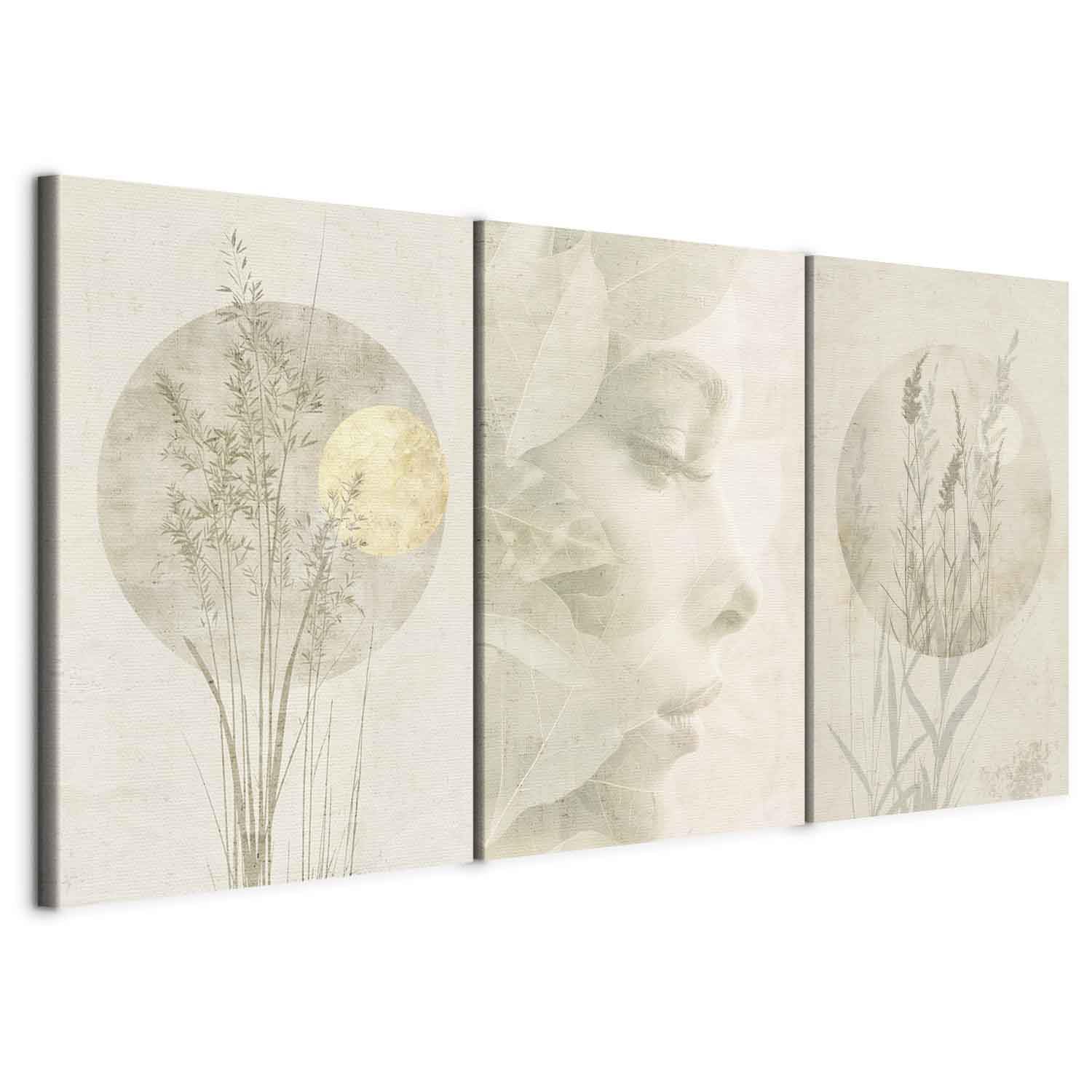 murando - Set De 3 Cuadros Fonoabsorbentes Rostro de mujer 120x60 cm | flores 3 Pieza 40x60 cm Cada - Conjunto De 3 - Cuadro Acústica Absorbe el Sonido Decoración Salón Moderno