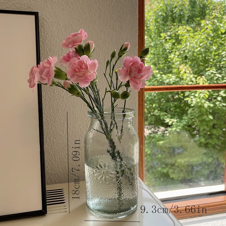 Vase en verre vintage transparent pour salon et table à thé