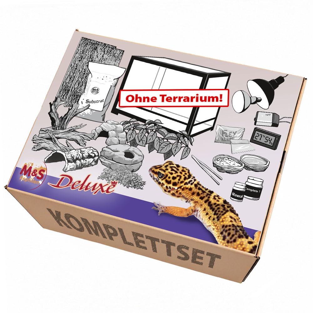 Komplettset Deluxe: Für Leopardgeckos (100x50x50cm) Terrarium OHNE! Terrarium