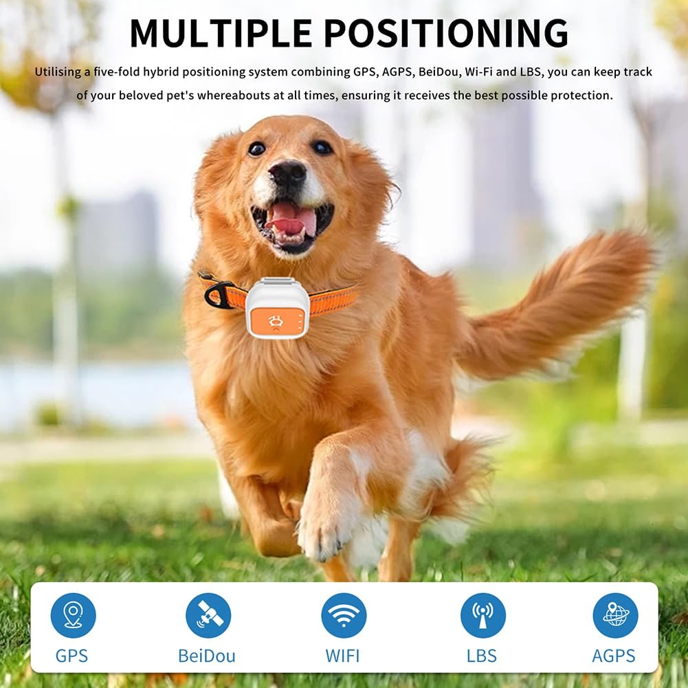 GPS Pet Tracker G01 per più Animali, Piccolo e Impermeabile, Lunga Durata della Batteria, Dispositivo Anti-Smarrimento - Versione S