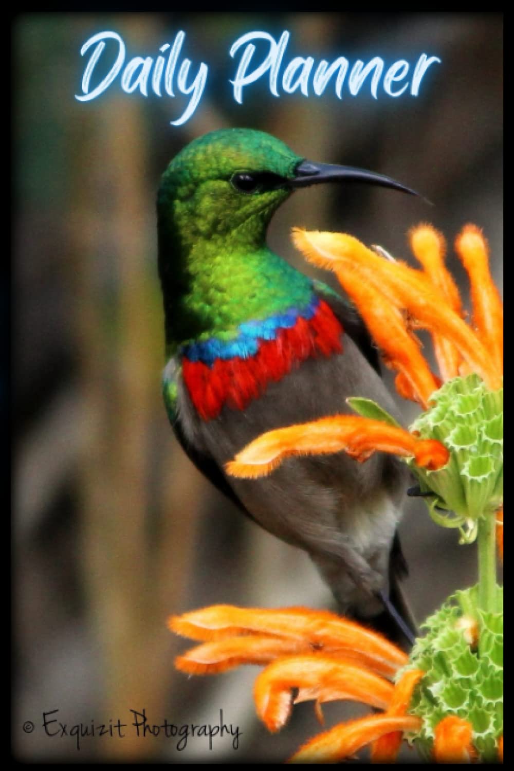 Daily Planner: 6x9" ~ 368 Page-A-Day Pages - Glossy Black Paperback ~ Sunbird on the front cover ~ Perfect Gift For All Occasions