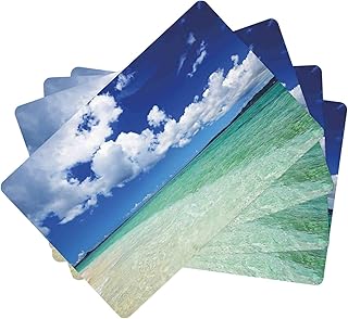 FFLSDR Skórzane podkładki wyspa życie morskie faliste żywe otwarte słoneczne morze wybrzeże piasek plaża sztuka nadruk obraz zestaw 4 żaroodporne maty stołowe 30 x 45 cm