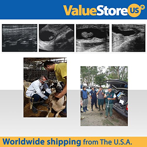 image for ValueStore.us Portable Ultrasound Scanner Veterinary Pregnancy V12 wit
