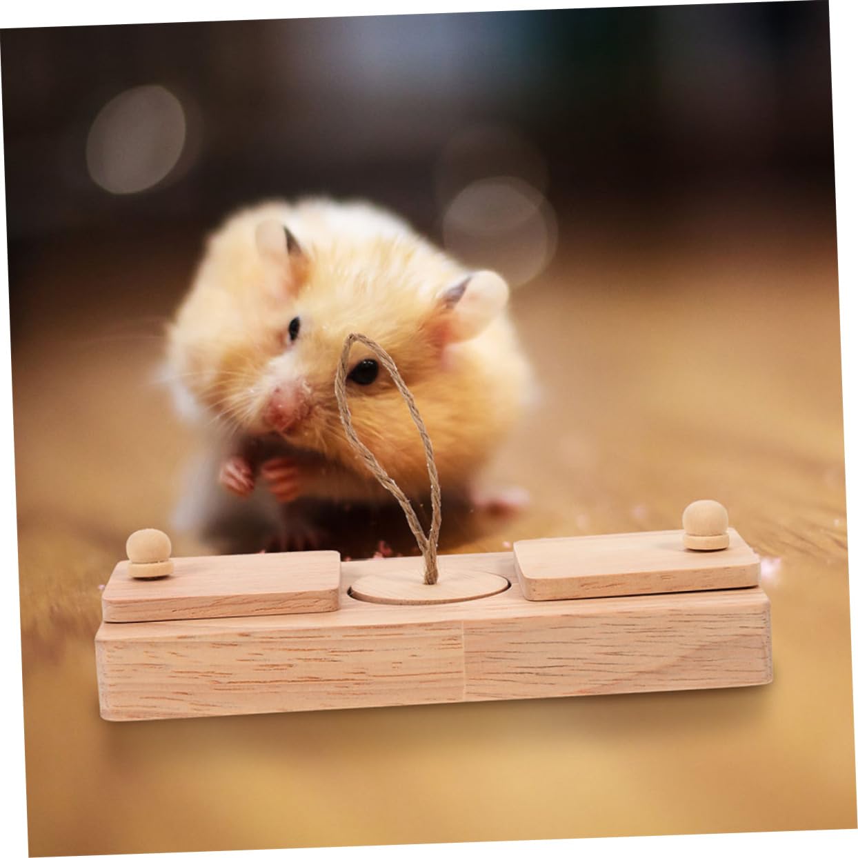 Hohopeti Hamster Leckerlis Versteckspielzeug für Käfig