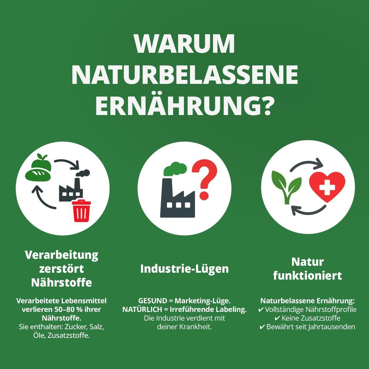Die Krankheitslügen - Was man macht, um nicht krank zu werden.: Medizinische Lügen entlarvt - eine praktische Anleitung mit natürlichen Heilmethoden ... inklusive Nährstoff- und Heilpflanzen von A-Z - 5