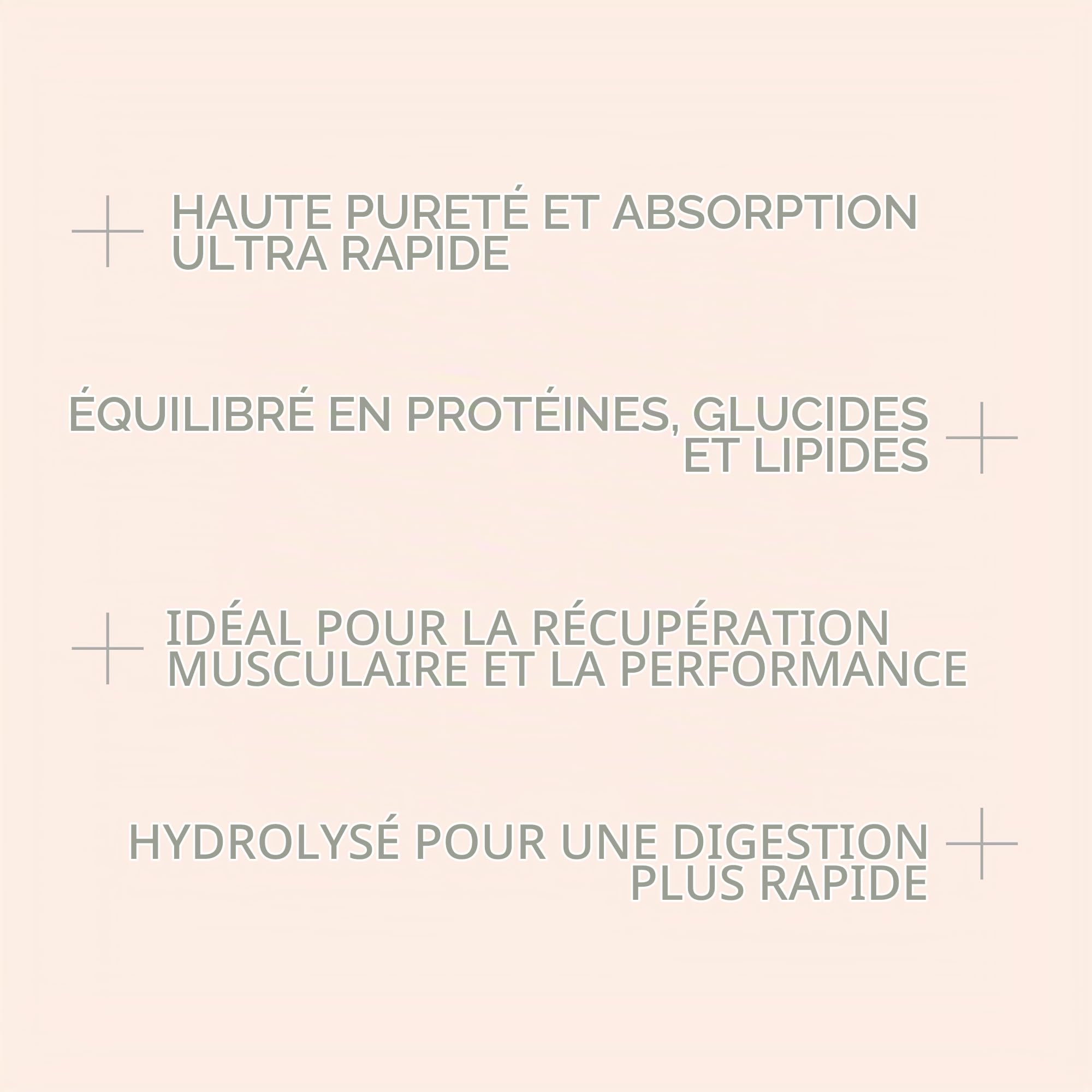 Beverly HYDRO PROTEIN - Protéine de Lactosérum Hydrolysées avec Digezyme et Tolerase - 1 kg - 29 g Protéin par portion - 28 portions - Excellente digestibilité - Saveur Biscuits au chocolat