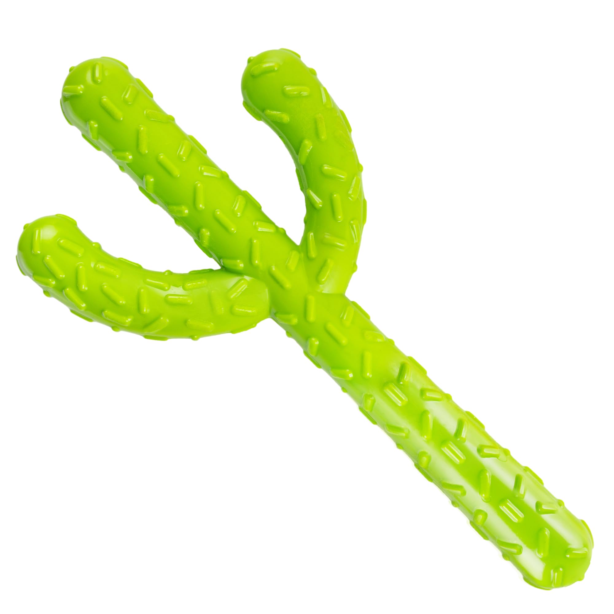 FANCY Indestructible Dog Toys Cactus for Small and Medium Breeds, Chew and Teething Toy, Suitable as a Puppy Chew Toy. (Cactus)