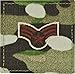 USAF Scorpion OCP Enlisted Rank (With Hook Fastener, E-4 Senior Airman)
