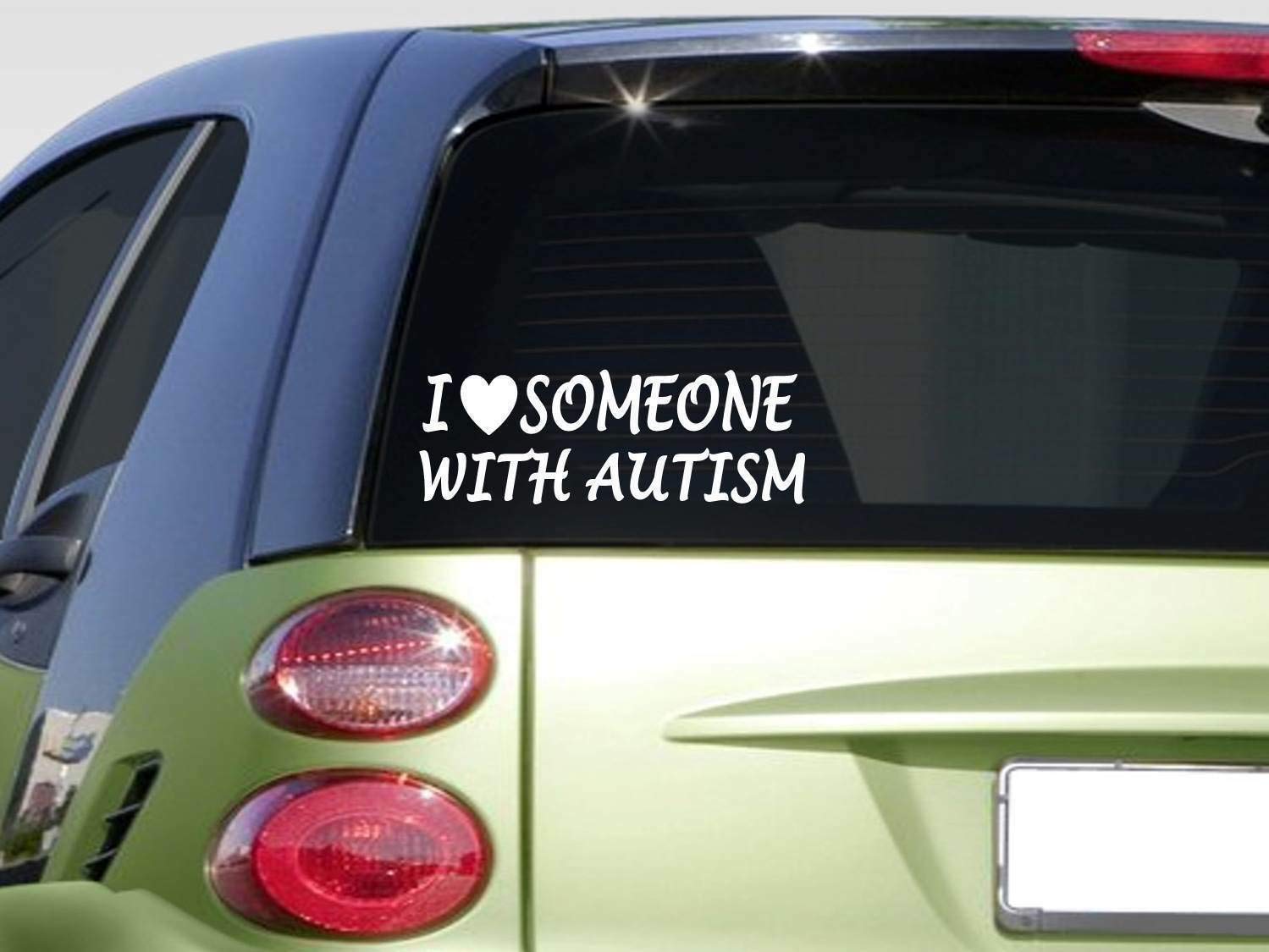 I Love Someone with Autism Sticker *H373* 8
