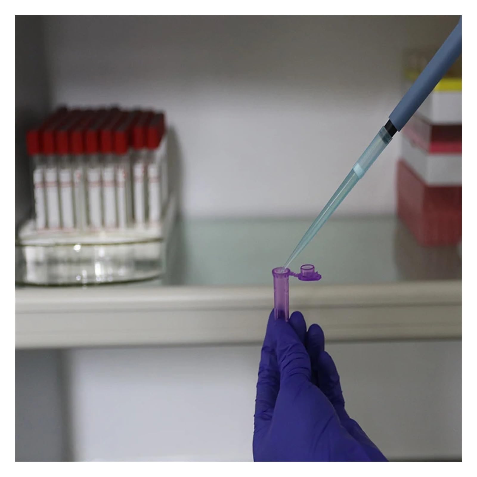 MENGKE 500PCS Pcr Micro Centrifuge Tube 0.2ml 0.5ml 1.5ml 2ml Snap Cap Plastic Test Tube Laboratory Centrifuge Tubes With Scale(0.5ml transparent)