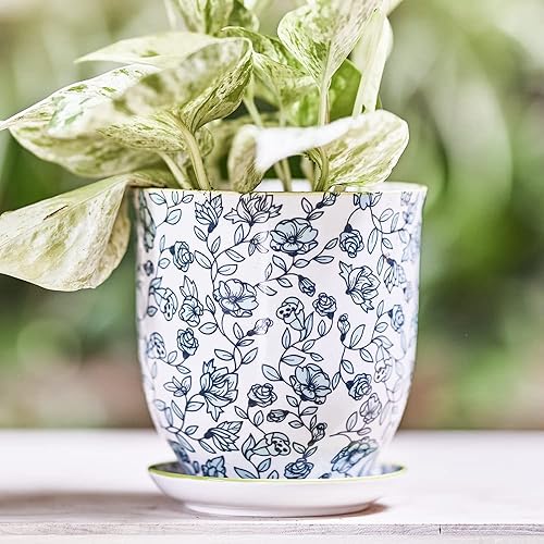 Miniatura 5 de CHIVE 'Liberte' - Macetas de cerámica para suculentas, 4.25 pulgadas, bonitas macetas de estilo rústico vintage para plantas de interior, hermosa