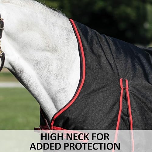 Miniatura 3 de Blizzard - Hoja de participación de caballo  Cuello alto  Talla 78  Negro  Exterior de poliéster de 1200 denier  Cuello Euro Fit  Surcingle cruzado