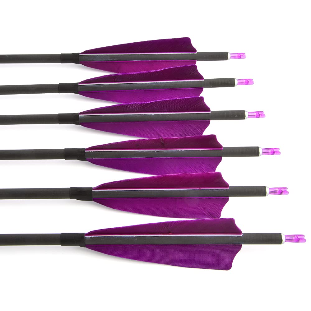 SHARROW 12/24P 35 Pollici Freccia in Carbonio Spine 400 Frecce di Freccia di Tiro al Bersaglio Freccia Carbonio Freccia per Bersaglio Tiro con L'Arco Arco Ricurvo Arco Compound (Viola, 12P)