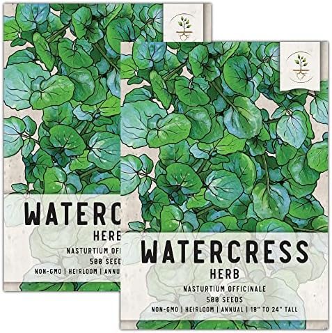 Seed Needs, True Watercress Sprouting Herb Seeds for Planting (Nasturtium officinale) Twin Pack of 500 Seeds Each - Heirloom, Non-GMO & Untreated
