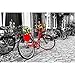 MTAMMD Puzzles Puzzle 500 1000 Piezas Bicicleta Roja Rompecabezas para Adultos Bicicleta Roja Rompecabezas con Flores En La Calle En Blanco Y Negro-1000Pieces
