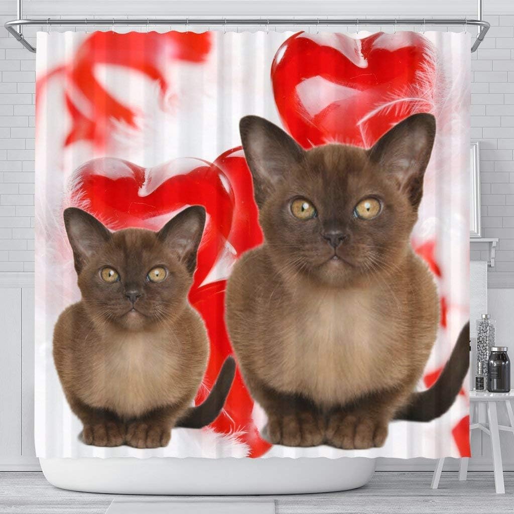 Burmese Cat On Red Print Shower Curtains