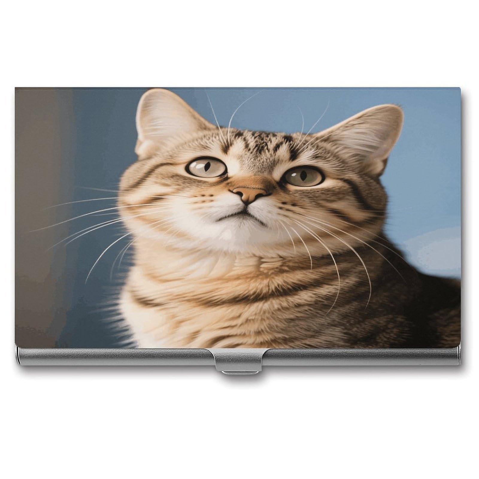 LZQPOEAS Cat Business Card Holder Aluminum Alloy Flip Cover Slim Name Cards Case Lightweight Business Name Card Holder Case Portable Purse Name Cards Holder