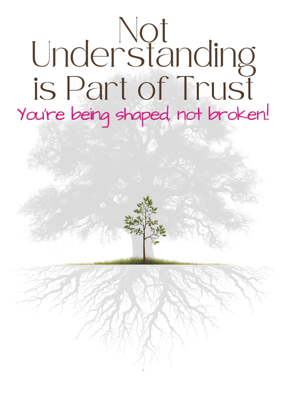 Not Understanding is Part of Trust: You're being shaped, Not broken.