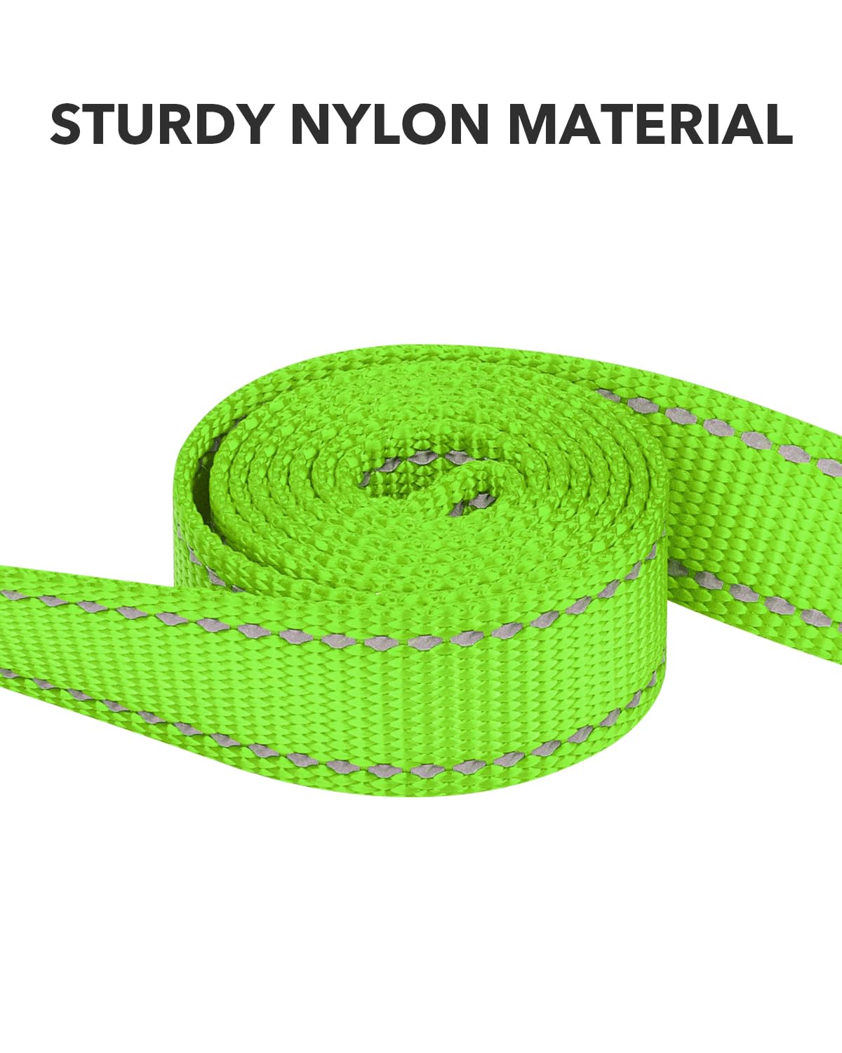 Taglory Guinzaglio per Cani Riflettente con Manico Imbottito e Gancio in Metallo, Nylon Resistente Addestramento Cane Guinzaglio, 1.8 m x 2.0 cm, Verde