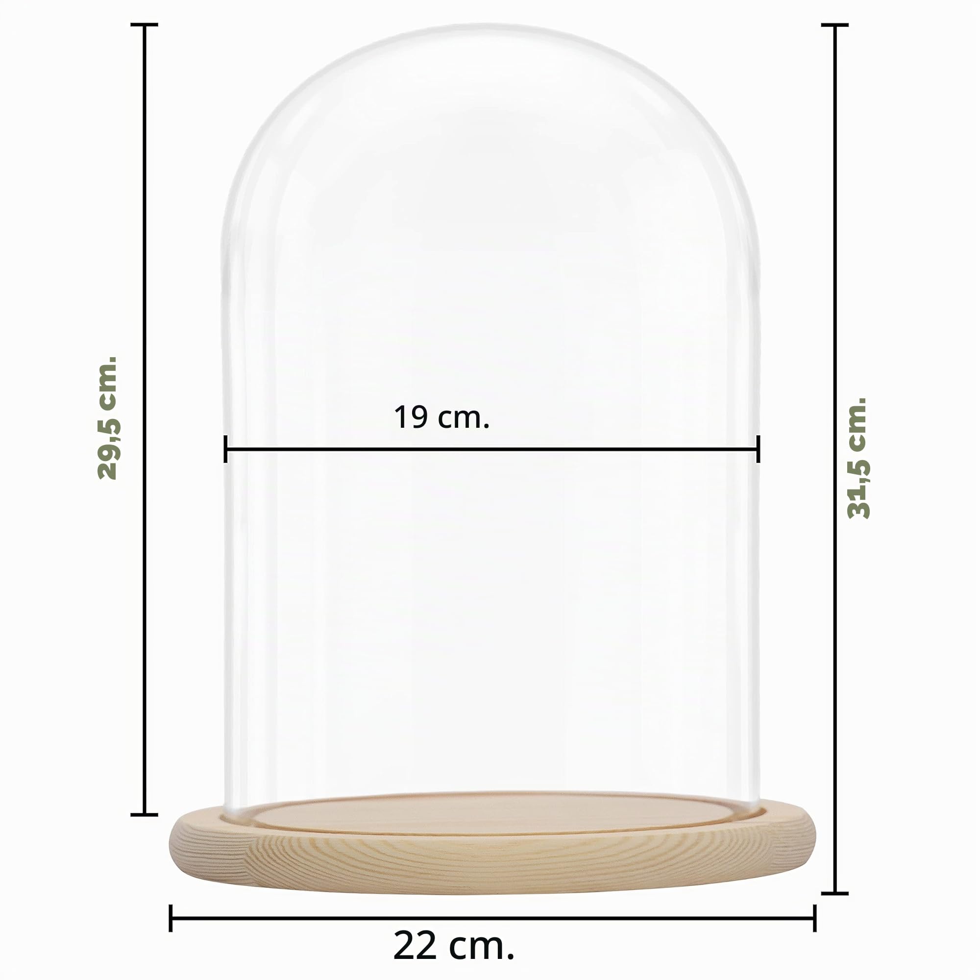 Belle Vous Campana in vetro con base in legno naturale, 31,5 cm, campana in vetro decorativa trasparente con piano in legno per luci, decorazioni da tavolo, antiquariato