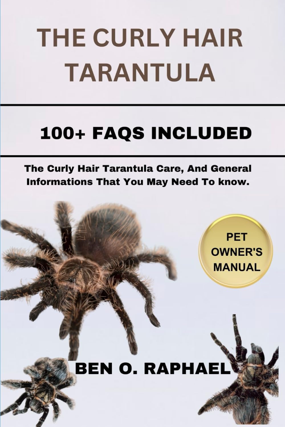 CURLY HAIR TARANTULA: The Curly Hair Tarantula Care, And General Informations That You May Need To know.