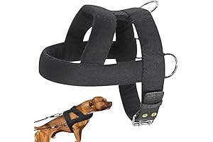 Forestpaw Dog Harness for Pulling Sled: Rugged and Unstoppable