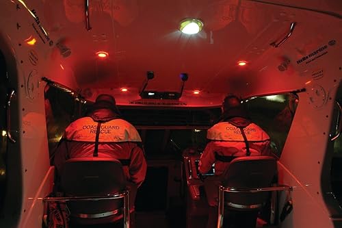 Miniatura 10 de Hella 959950121 '9950 Series' EuroLED Touch Multivolt Blanco/Rojo 9-33V DC Dual Color LED Luz Interior con Cubierta Blanca