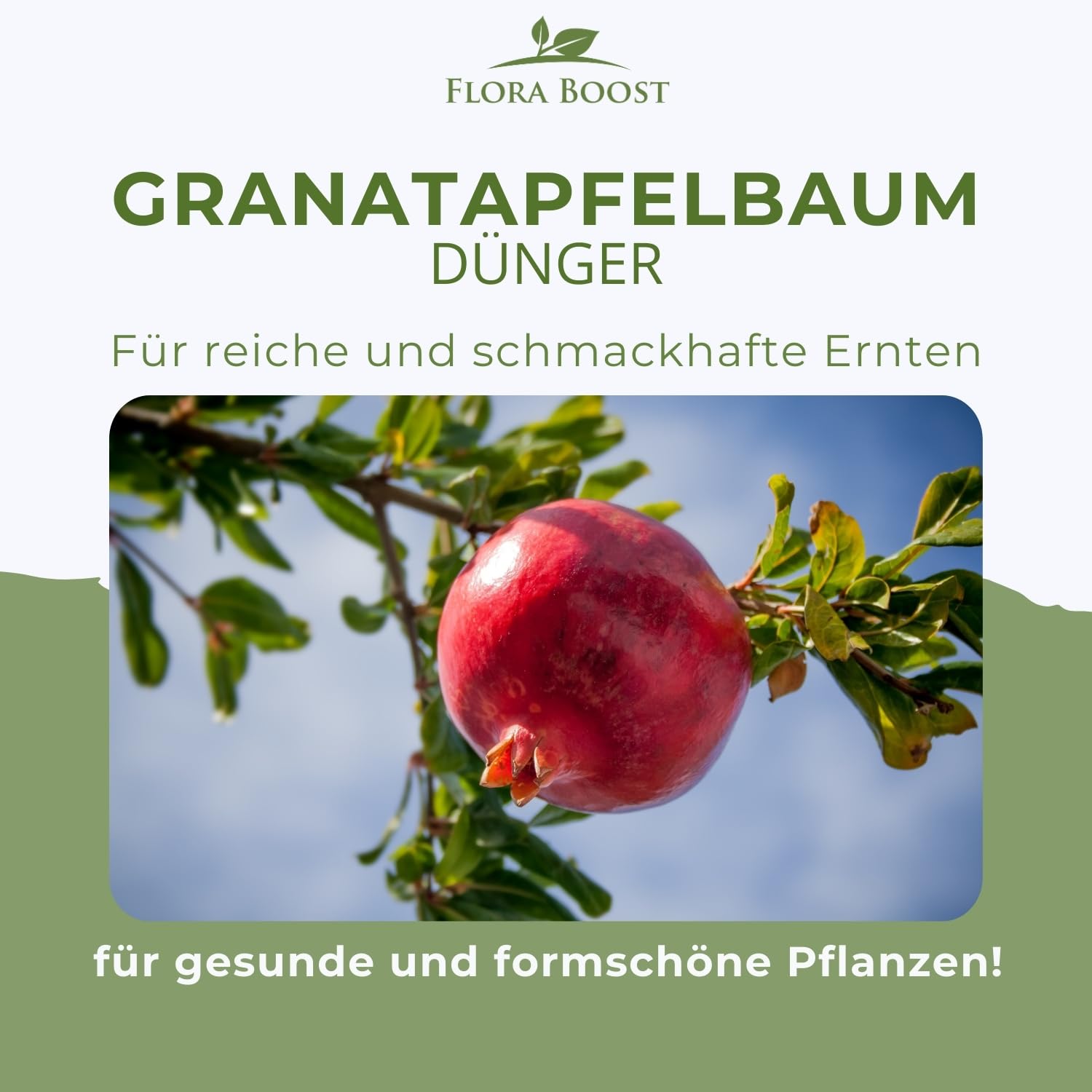 Flora Boost Granatapfelbaum Dünger 5000ml - Für bis zu 1000L Gießwasser - Obstbaum Dünger für Granatapfel Pflanzen - Flüssiger Blatt- & Wurzeldünger - 100% natürlicher Pflanzendünger