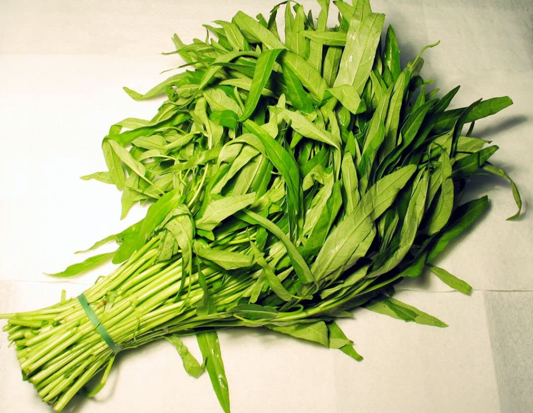 Water spinach seeds for home garden (450 seeds) (B0BWR6ZDTK) Amazon Price History, Amazon Price Tracker