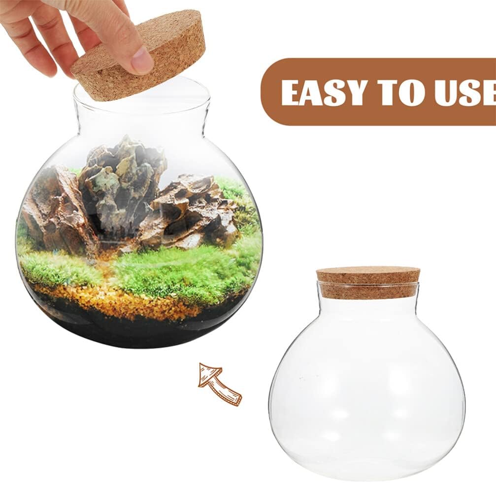 BESPORTBLE Ecological Bottle Set - 2Pcs Round Transparent Glass Terrarium Jars with Cork Lid for Miniature Landscape Decor
