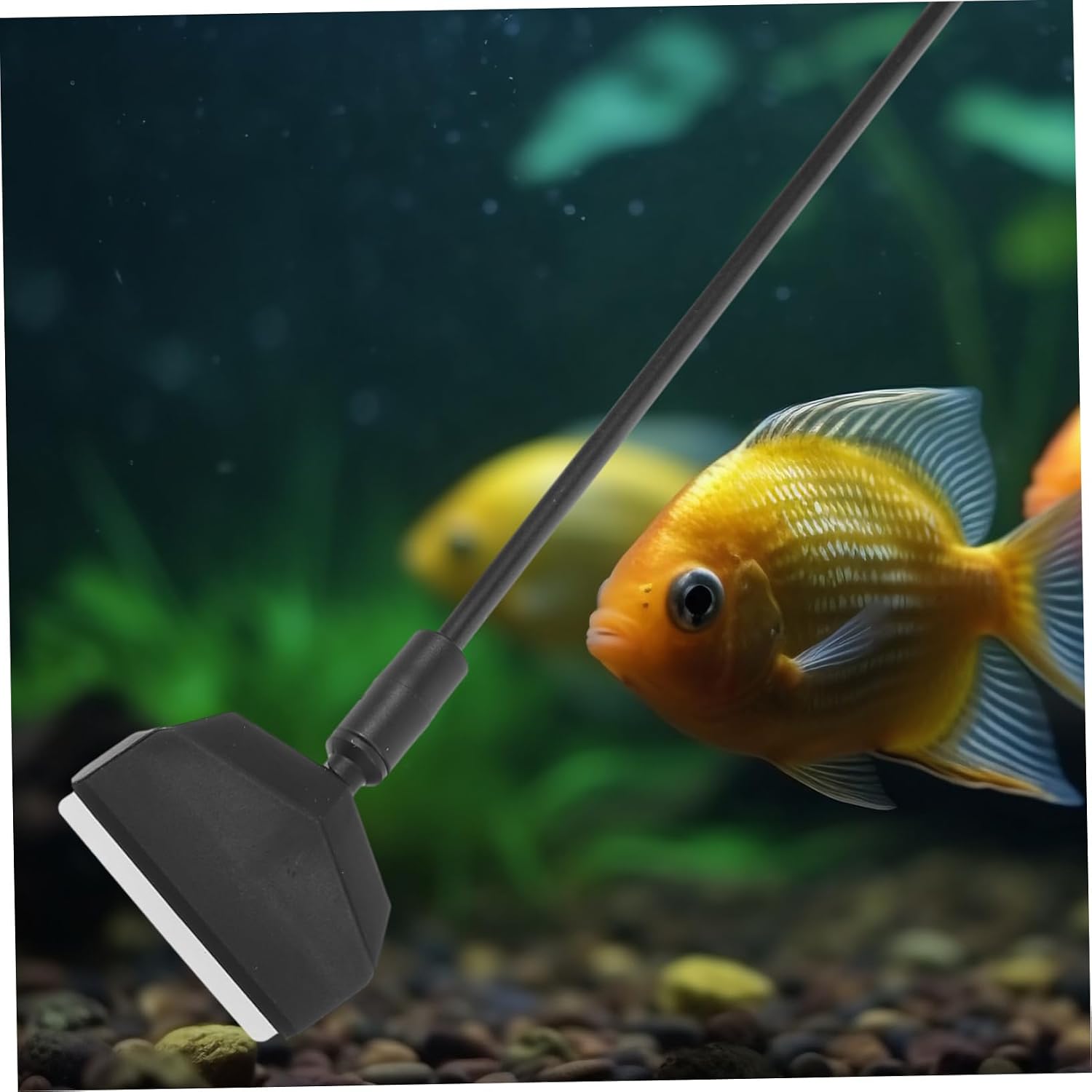 COLLBATH Aquarium Cleaning Tool with Ergonomic Long Handle Scraper and Brush for Efficient Fish Tank Maintenance Suitable for All Aquarium Types