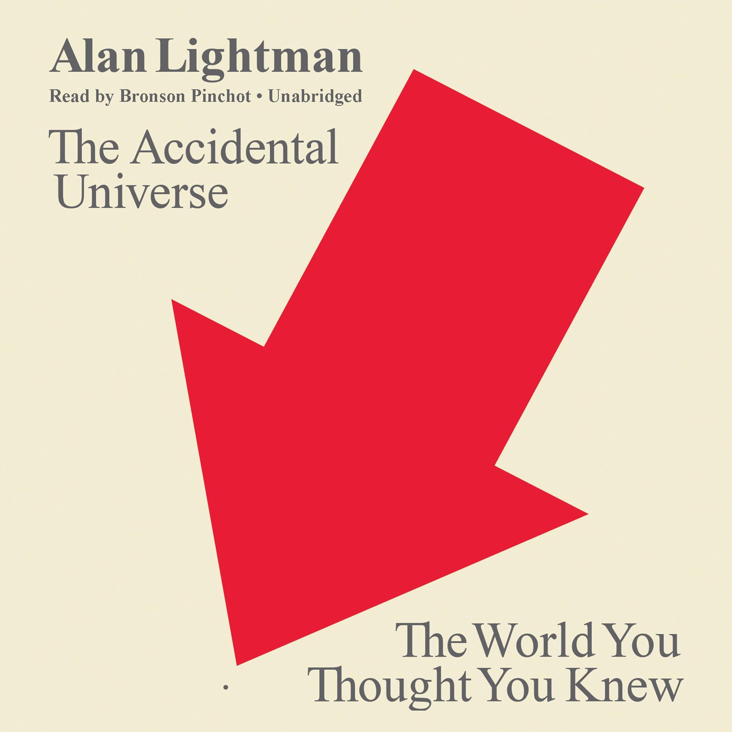 Cover art for The Accidental Universe