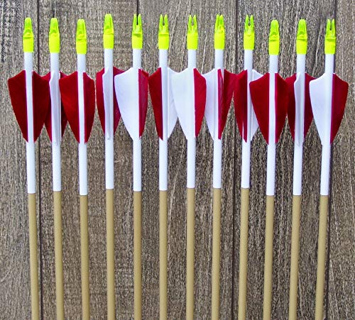 Fiberglass Arrows (red and White)
