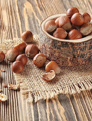 Image of Anna and Sarah Large Oregon Hazelnuts in Shell (2.5 Lbs)