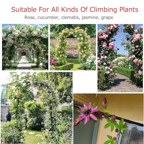 Arche d'escalade avec base solide tuteur métallique pour jardinage - 5