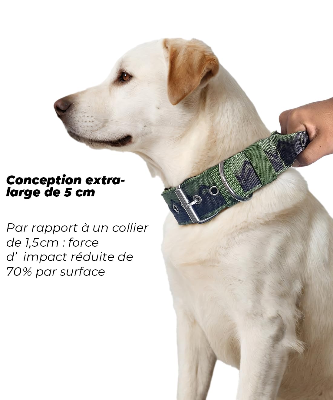 Collier pour Grands Chiens NeckShield Kontroll - Collier pour Chien De 5 cm De Large avec Rembourrage Extra Épais Et Poignée,Protection Professionnelle,50-58cm,Vert