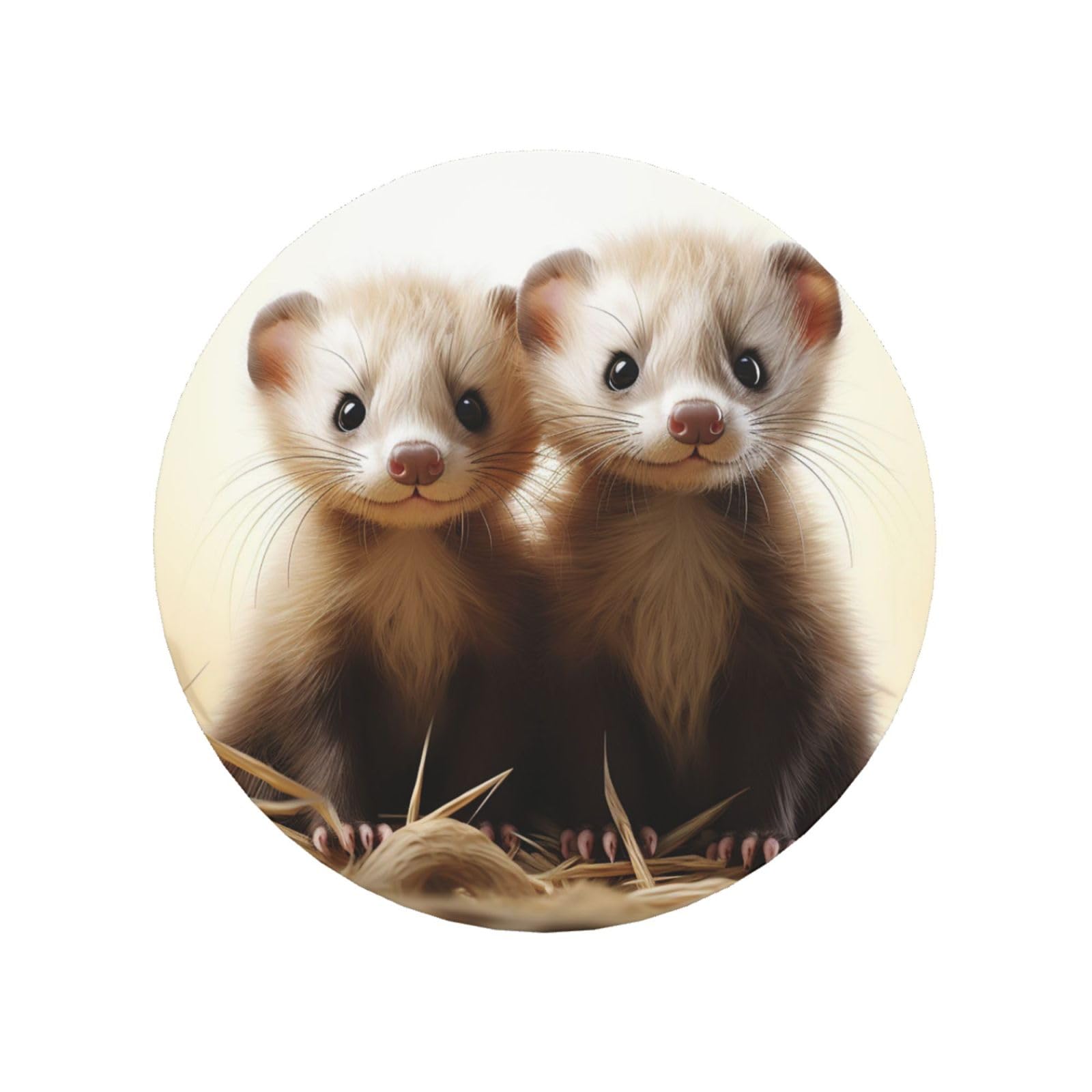 Fridge Magnets Waterproof Personalized Magnets for Fridge Ferrets Refrigerator Magnets Home Decoration Magnetic Sticker for Locker Accessories Whiteboard Kitchen Office Decor