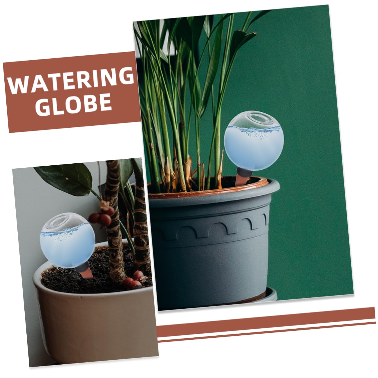 BESPORTBLE 6pièces Dispositif Arrosage Automatique pour Plantes Lot de Bulbes De Système Irrigation pour Plantes Et Économie Et Pratique pour Succulentes Et Pot
