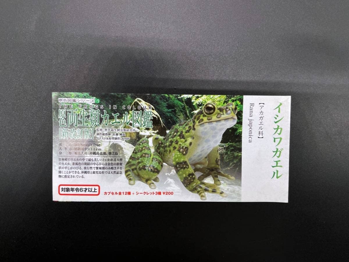 Amazon.co.jp: ユージン原色両生類 カエル図鑑（新改訂版