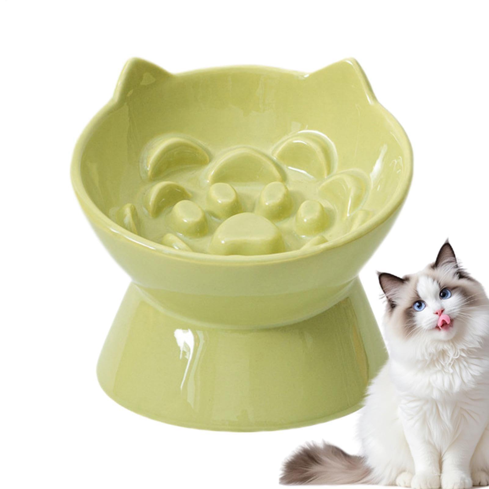 Gamelles surélevées pour chat en céramique pour la maison