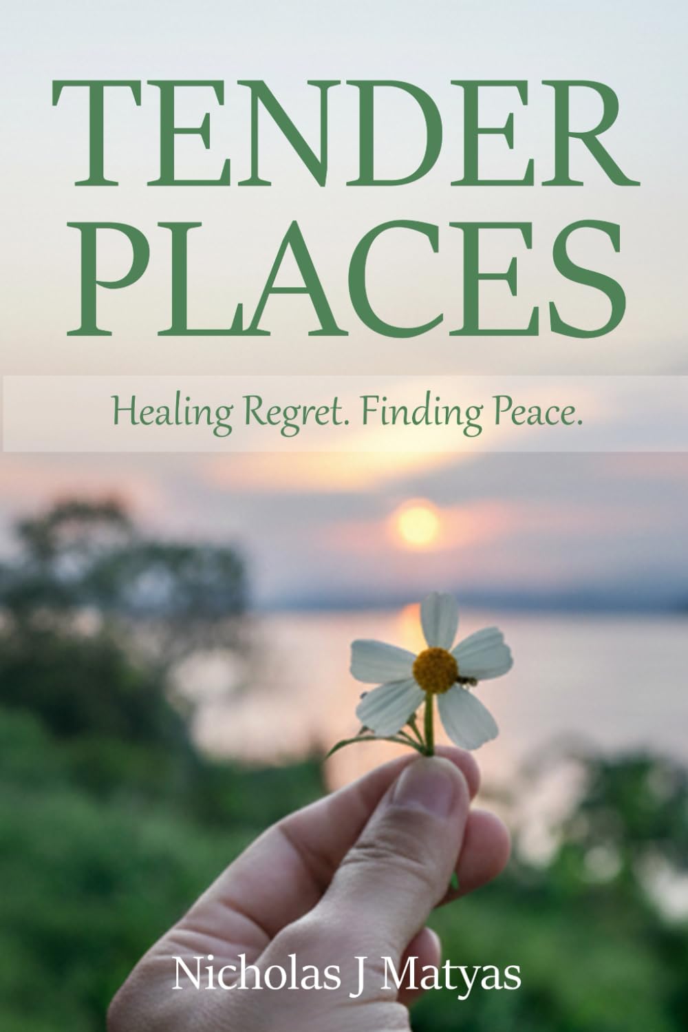 TENDER PLACES: Healing Regret. Finding Peace.