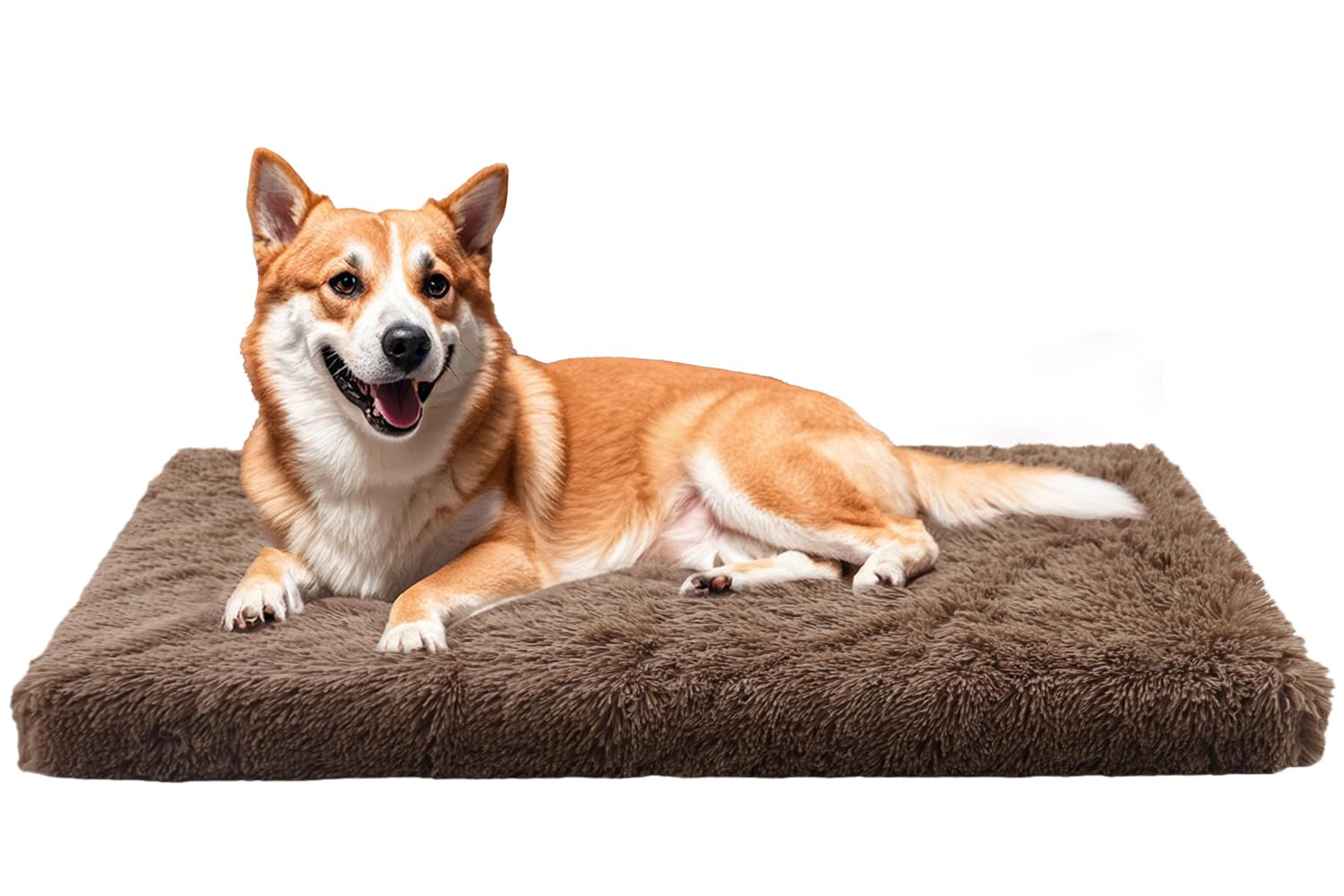Cuccia Cane Interno Taglia 100 x 60 cm Lavabile, Morbida per Cani Grandi | Schiuma bugnata 10 cm, Peluche morbida, Lavabile in lavatrice, Ampia superficie, Fondo antiscivolo, cuccia cane fino a 35 kg