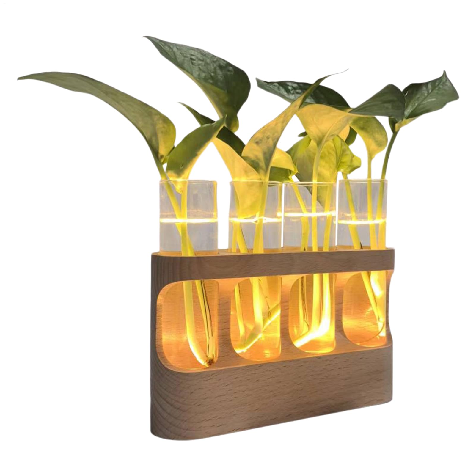 Vase de propagation en verre élégant esthétique haut de gamme pour bureau