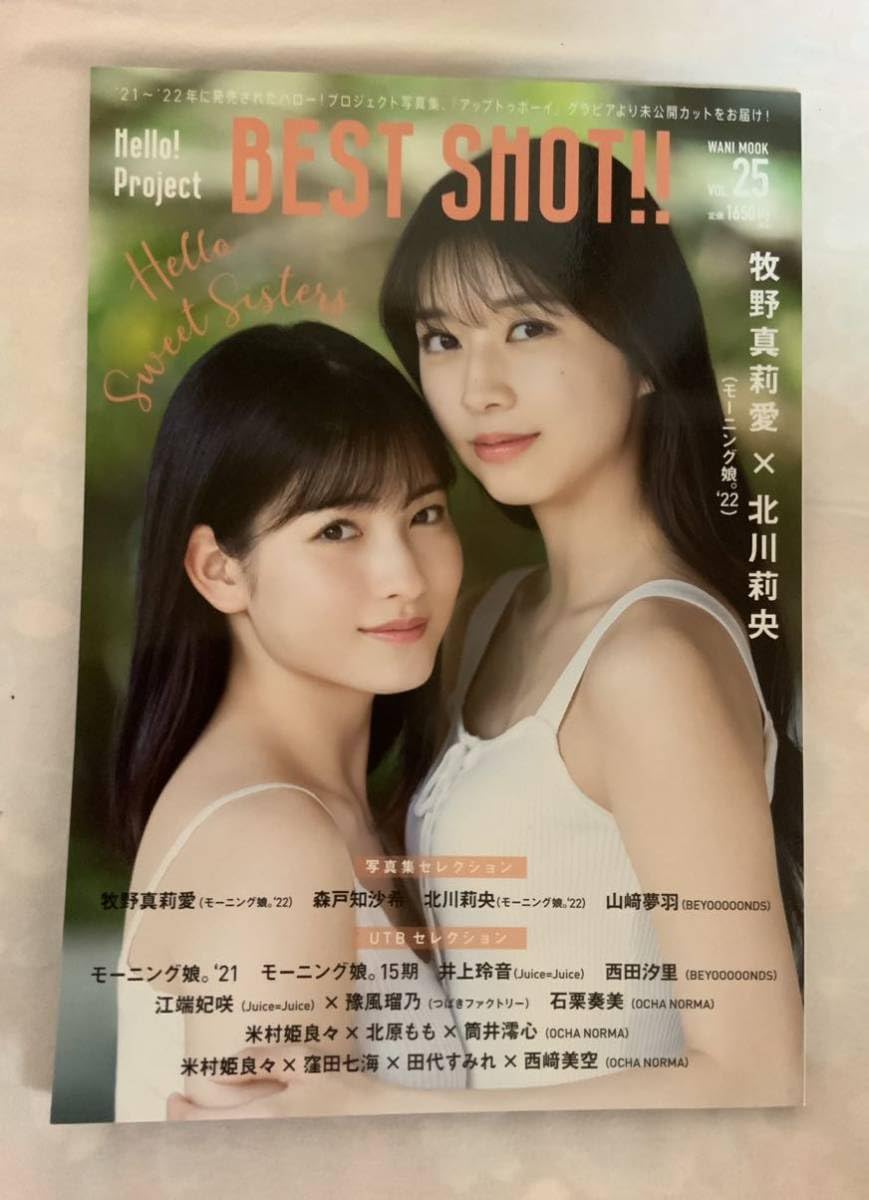 モーニング娘。クリアポスター アイドル モーニング娘。 - ポスター アイドル・スター他の通販 by すみれ
