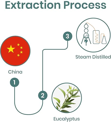 Miniatura 8 de Veda - Aceite de árbol de té Tinda, 100% puro y natural, aceite de árbol de té orgánico para la piel clara, refrescante, cabeza transparente con