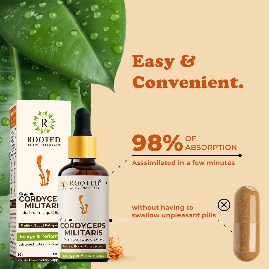 Rooted Active’s Cordyceps Mushroom Tincture (30ml) + Lion’s Mane Mushroom Tincture (30ml) | Energy, Focus & Cognitive Support - Image 2 thumbnail