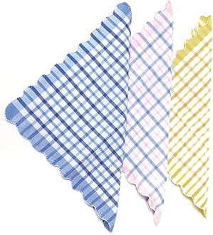 ANVIK Women/Lady Cotton Blend Check Pattern Handkerchief .Hanky for Kids Boys Girls for School (Multicolour) Pack of 12