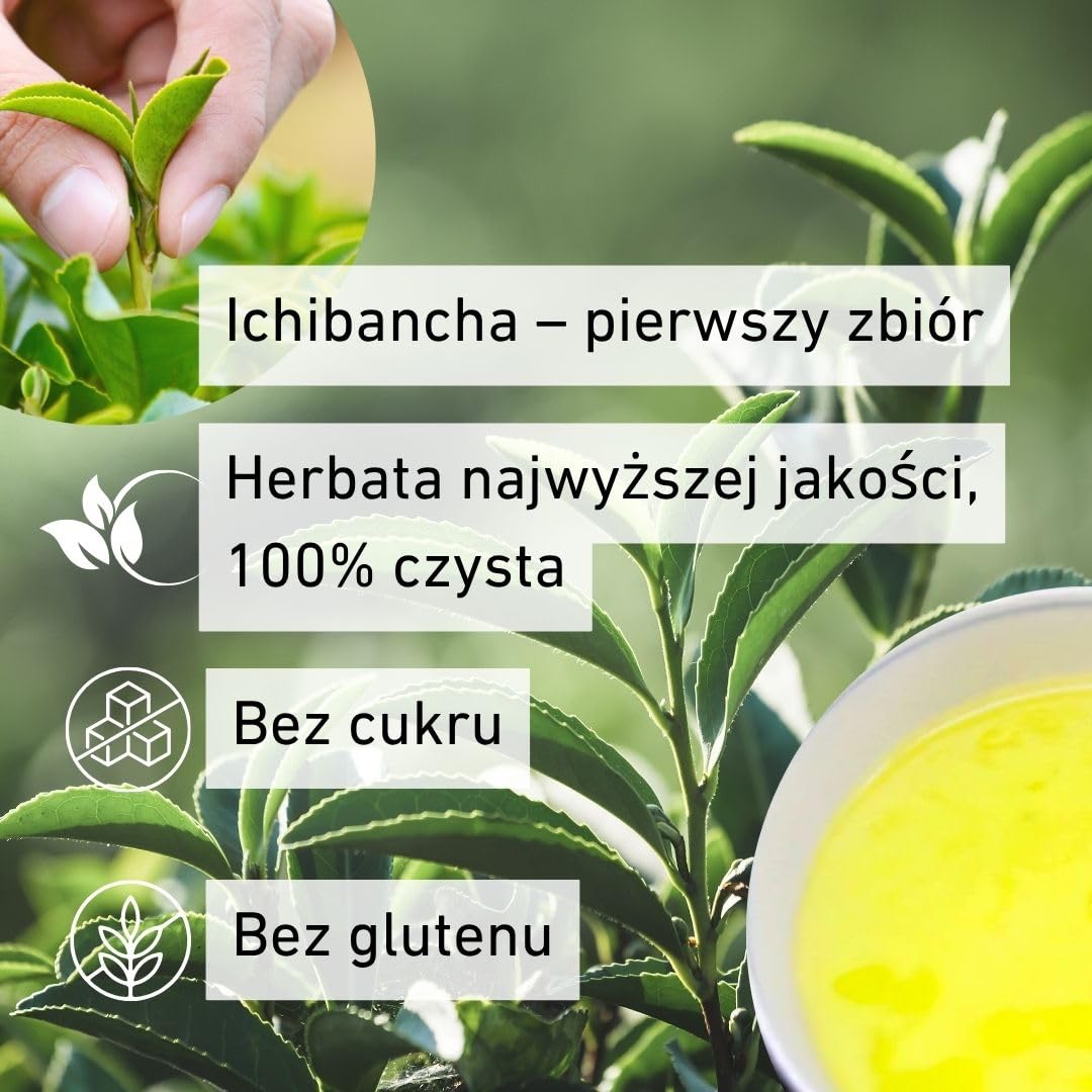Daisan Tea Honyama Sencha – japońska zielona herbata liściasta premium z Shizuoki (100 g)